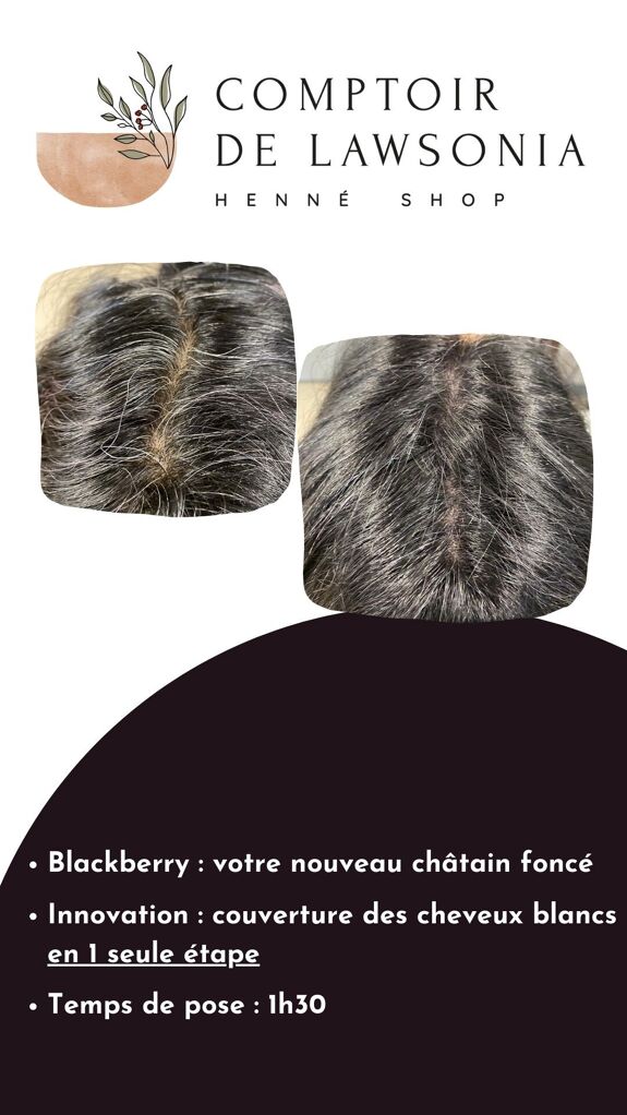 Coloration végétale 100% naturelle - Blackberry  COMPTOIR DE COMPTOIR DE LAWSONIA